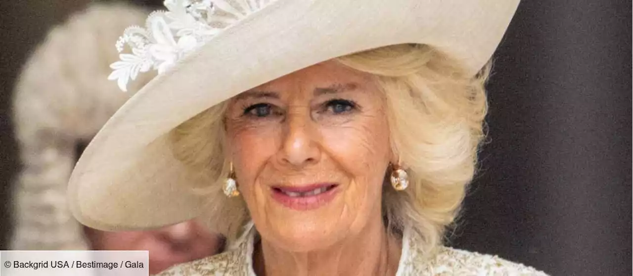 Camilla Parker Bowles : cette première rencontre avec William dont elle est ressortie “tremblante” - Gala