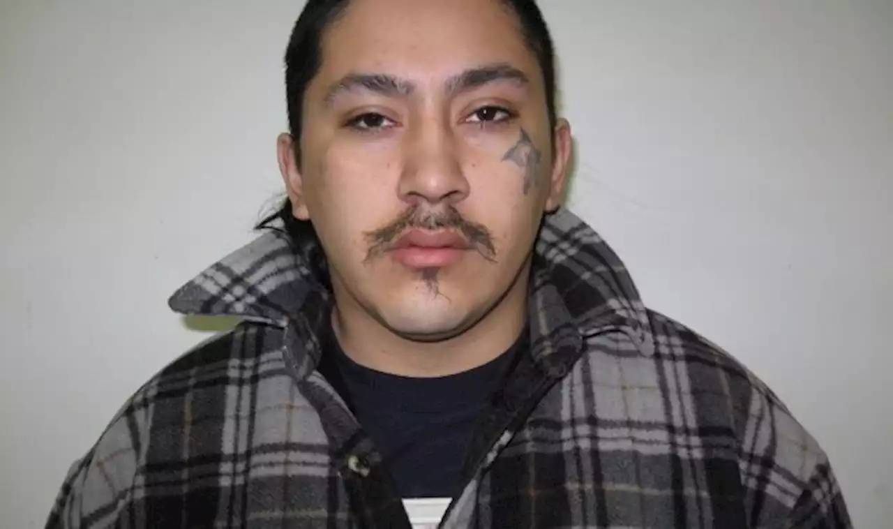 Meadow Lake RCMP seeking public assistance locating wanted male | Globalnews.ca