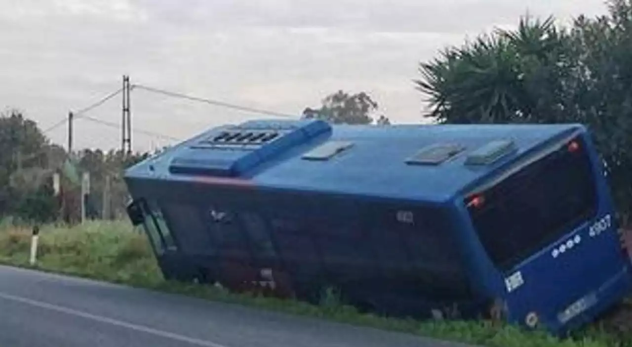 Verona, autista ha un malore e sviene: il bus con 70 studenti finisce in un vigneto. Paura e feriti