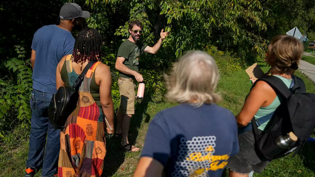 'Medicine of the people': Persimmon Herb School connects people and plants