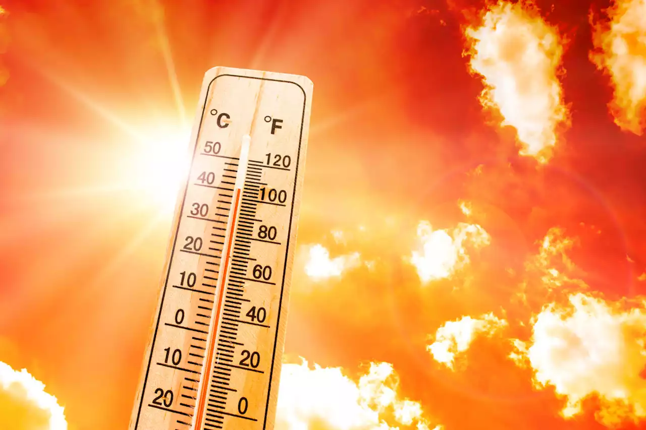 Heatwaves could have a detrimental effect on heart disease patients