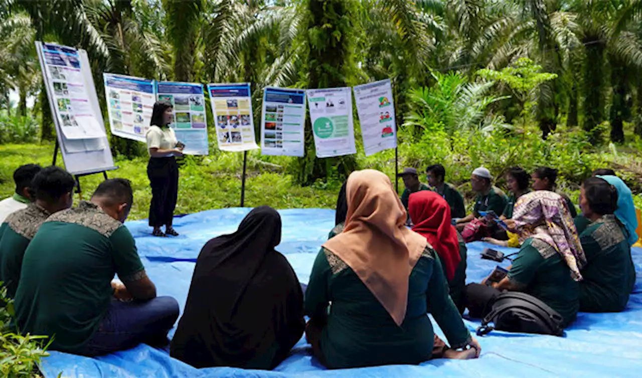 Langkah Musim Mas Bantu Petani Sawit Swadaya Jual CPO ke Pasar Global