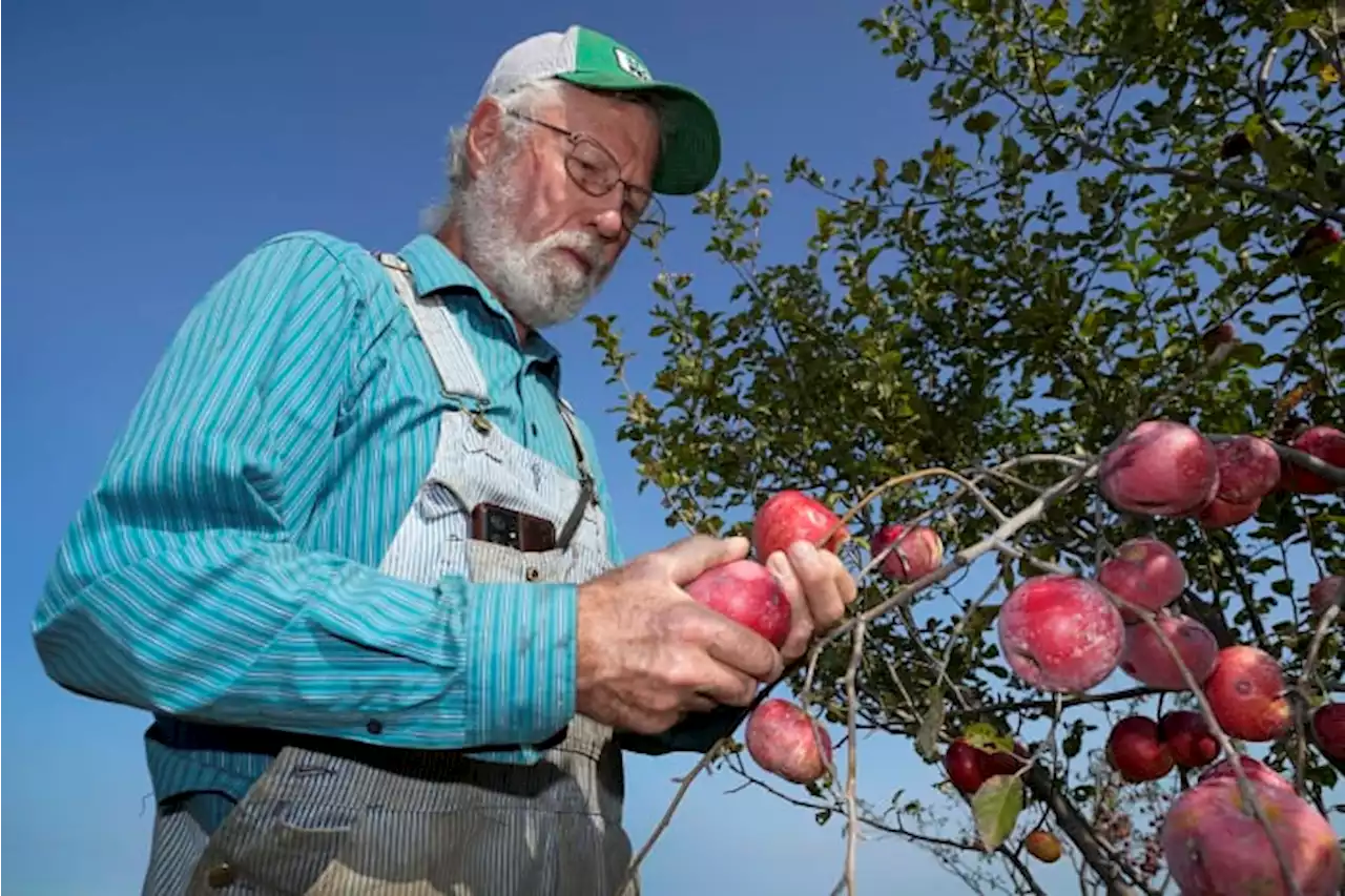 More consumers buying organic, but US farmers still wary