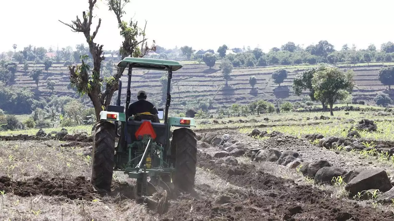 Genjot Produksi Pertanian, Kementan Ajak Petani Andalkan Alsintan