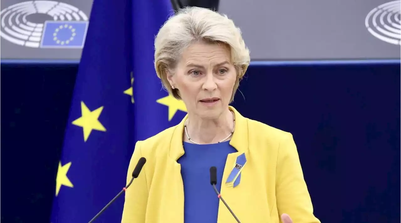 Von der Leyen: 'Se Italia come Ungheria abbiamo strumenti'