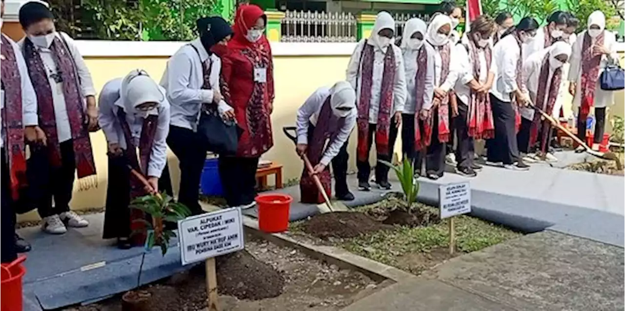 Iriana Jokowi dan Wury Ma'ruf Amin Blusukan ke Sragen, Bagi Sembako dan Tanam Kelapa | merdeka.com