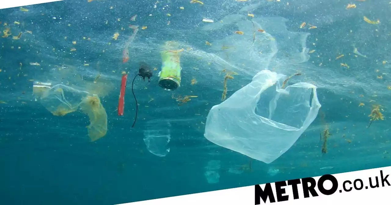 Bold plan to finally clean the Great Pacific Garbage Patch is revealed