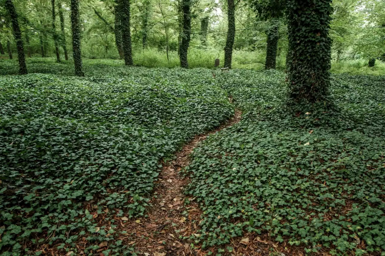 Why We All Need To Think About Our Funerals — For The Sake Of The Planet