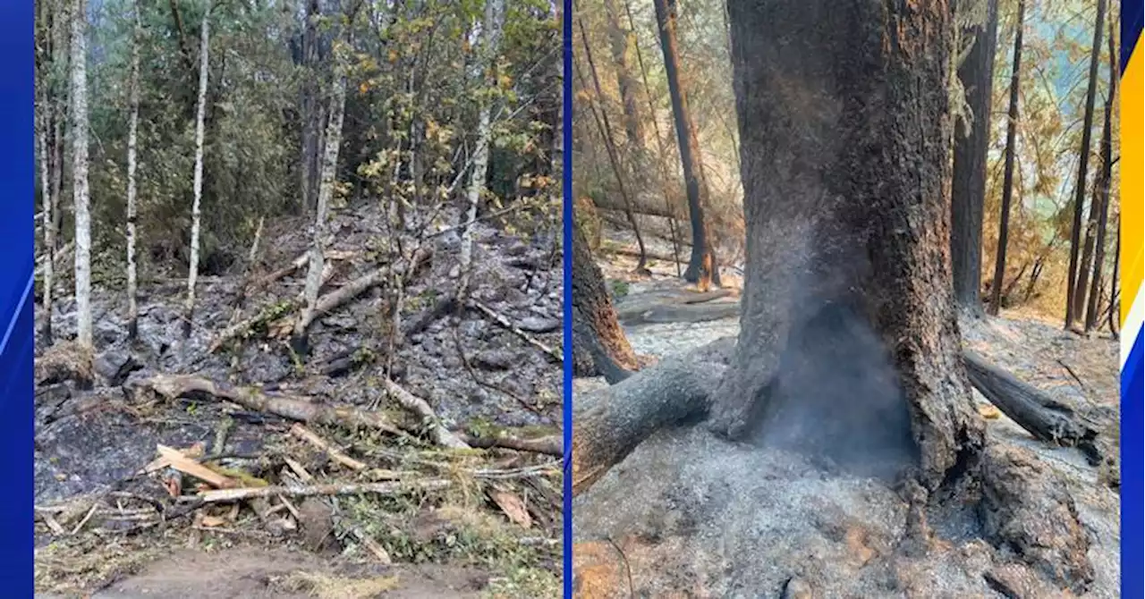 Crews working to remove burned roadside trees in order to reopen US 2 at Stevens Pass by Monday