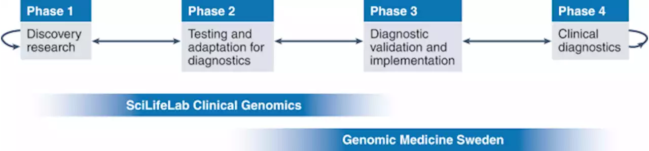 Implementing precision medicine in a regionally organized healthcare system in Sweden - Nature Medicine