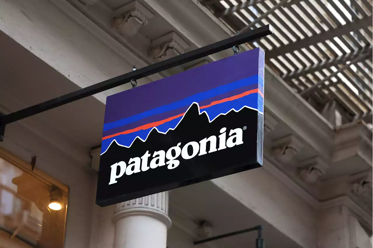 Patagonia's Bold Move to Donate the Entire Company to Fight Climate Change Only Works If It Stays Competitive in Business, CEO Says