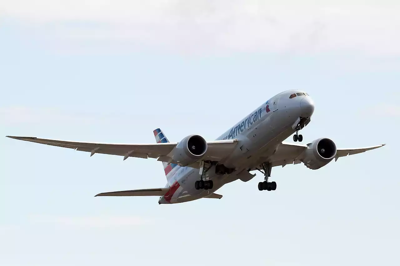 Video Shows Passenger Punching American Airlines Flight Attendant Mid-Flight