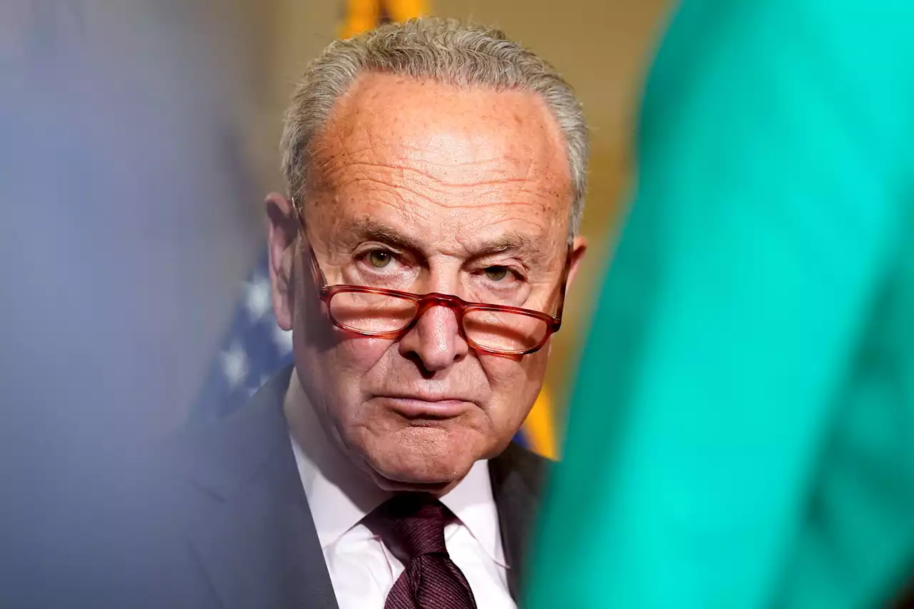 Schumer 2.0: How a surprise same-sex marriage decision explains the Senate leader