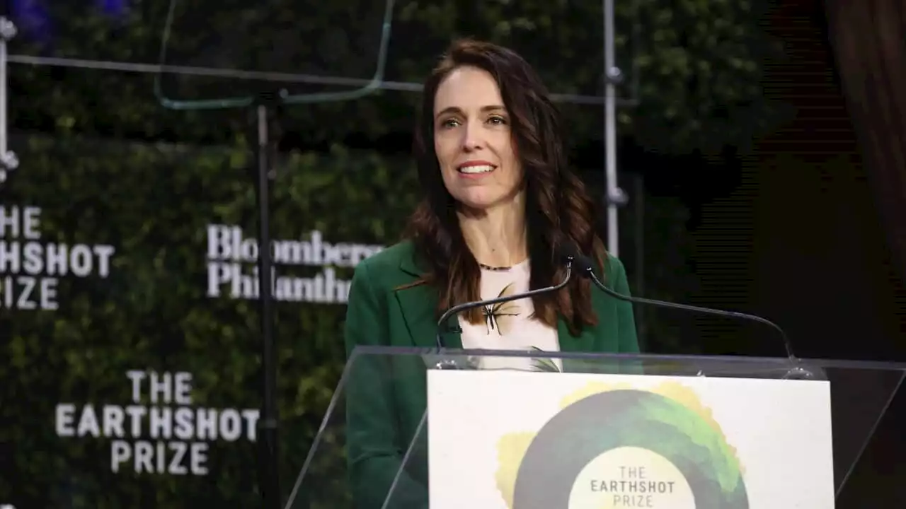 'Exceptionally poor substitute': Jacinda Ardern stands in for Prince William at environmental summit