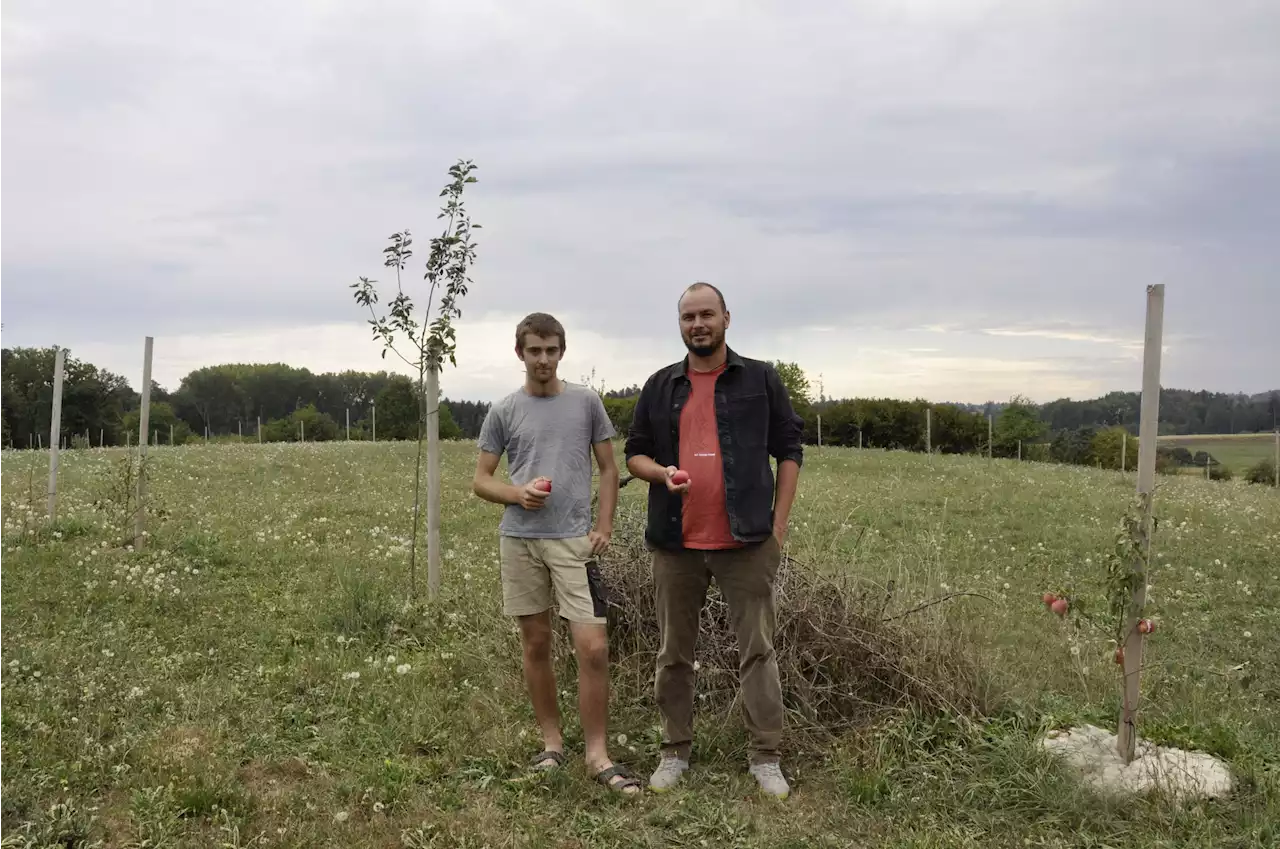 Mit Umstellung zu neuen Ertragsquellen - Schweizer Bauer