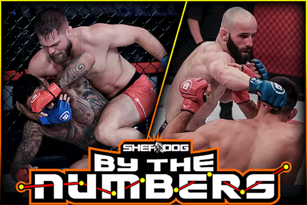 By The Numbers: Mads Burnell vs. Pedro Carvalho