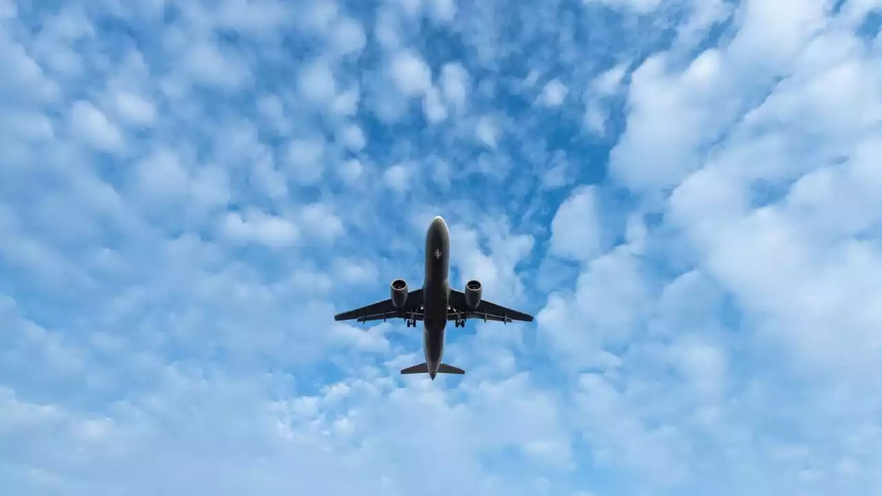 Flights cancelled at Sydney Airport