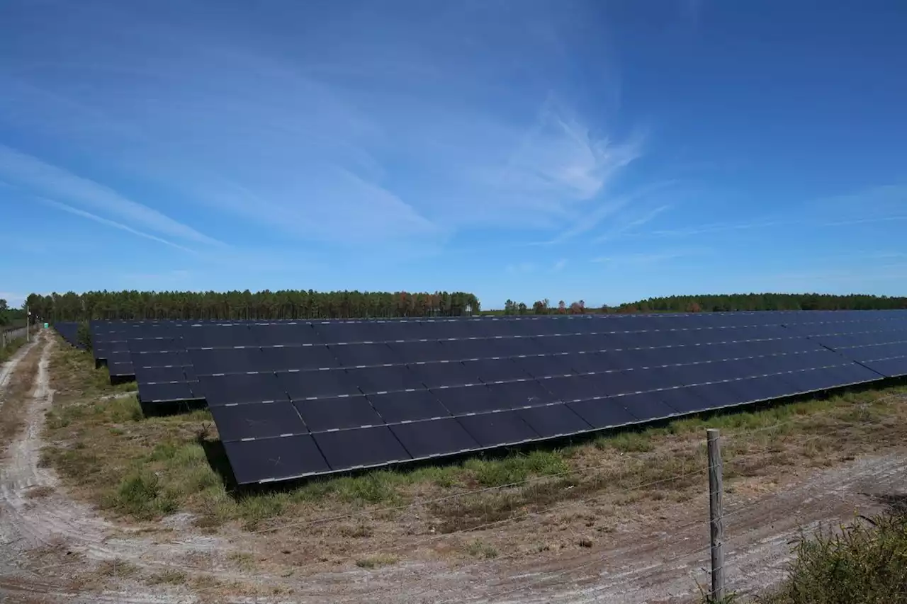 Énergies renouvelables : 700 000 emplois en plus dans le monde en un an