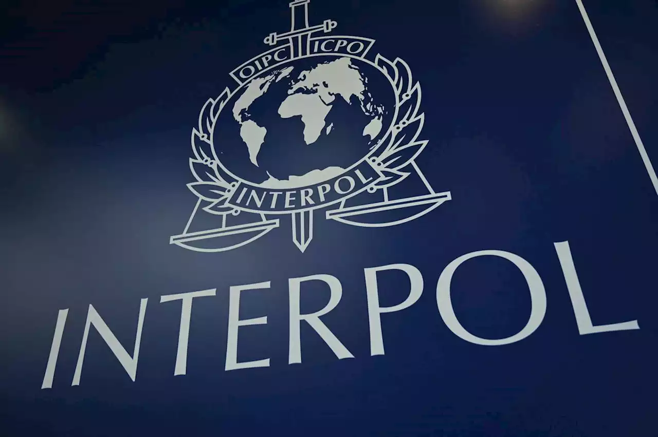 Opération internationale antidrogue : Interpol annonce 700 millions de dollars de produits saisis