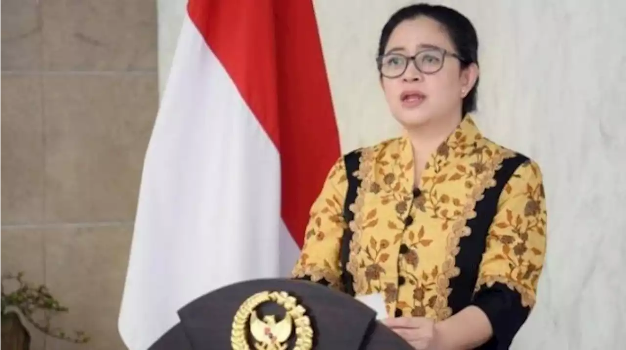 Inilah Daftar Anggota Dewan Kolonel yang Dukung Puan Maharani Maju Jadi Capres 2024