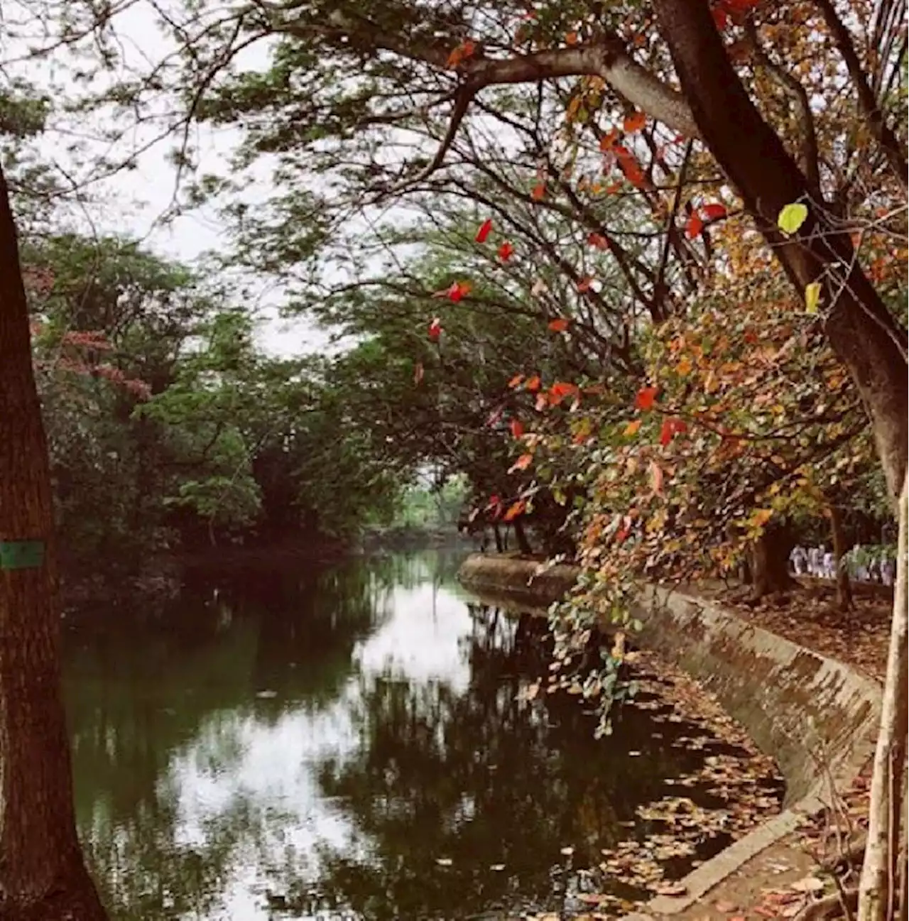 Jelajah Hutan Kota Srengseng, Oase Hijau di Jakarta