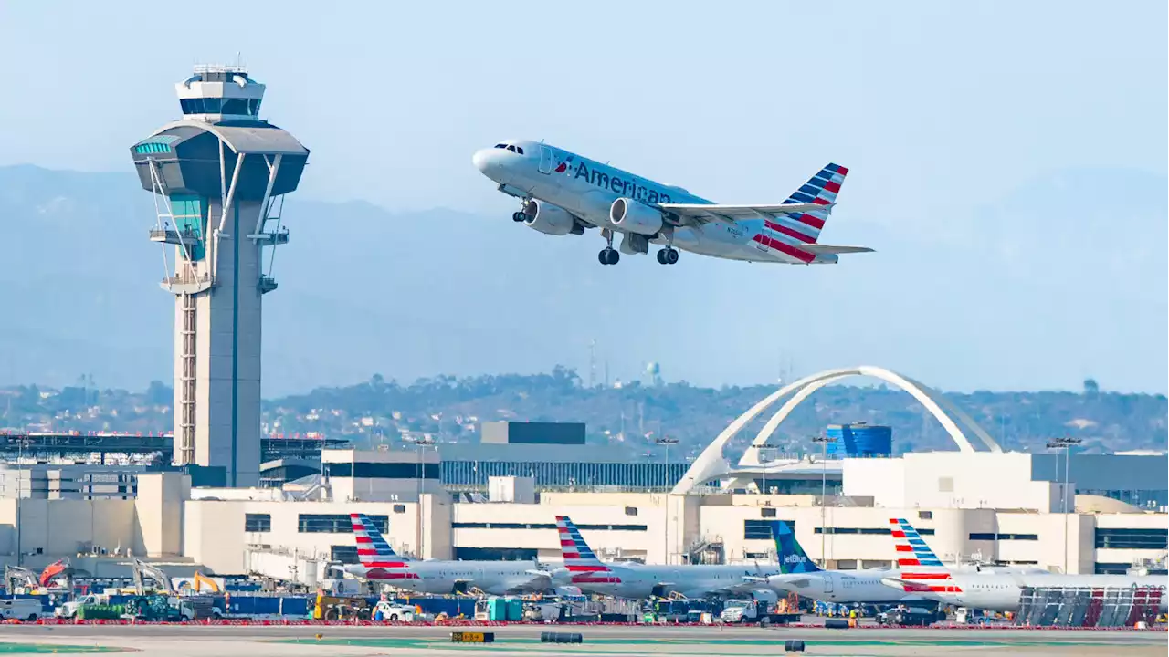 Shocking Video Shows Traveler Punch Flight Attendant in Back of Head