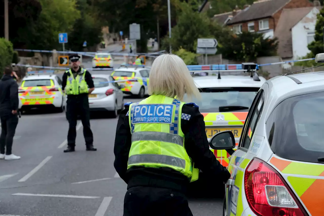 Boy, 15, dies after being stabbed outside school gate