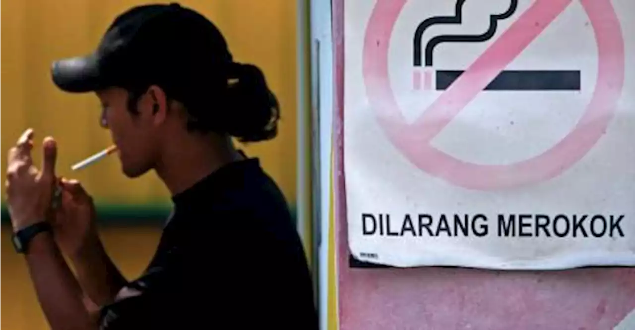RM15b revenue loss in three years due to cigarette smuggling, but policies reversing trend
