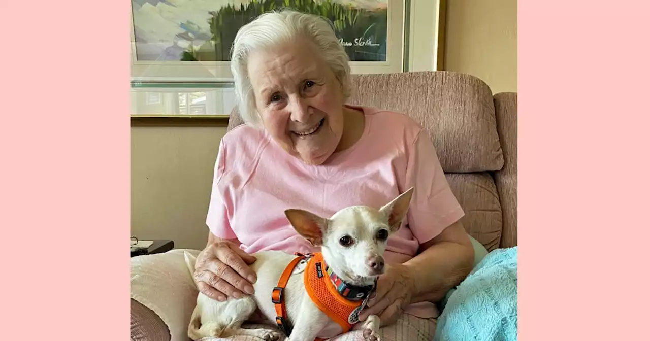 100-year-old woman adopts 11-year-old dog in a perfect senior match