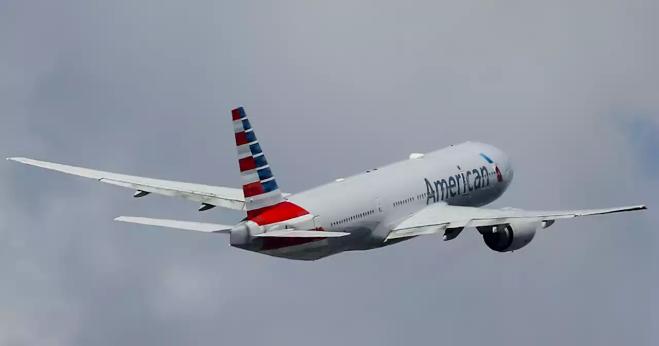 Passenger who appears to sucker punch flight attendant in video is detained by FBI