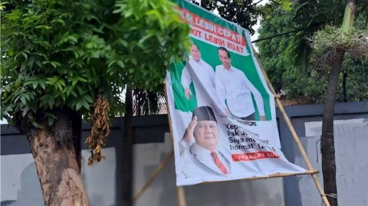 Fadli Zon Nilai Wajar Jika Ada Pihak yang Ingin Jegal Prabowo Subianto Maju Capres - Tribunnews.com