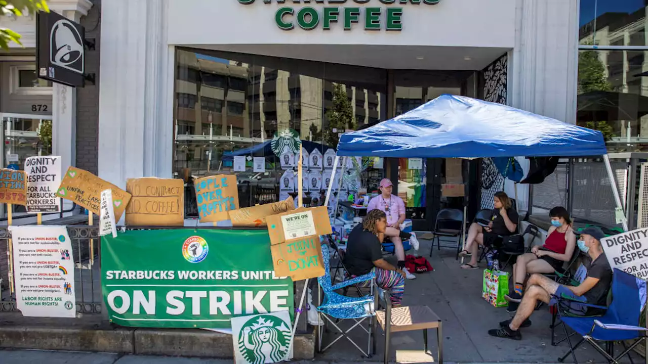 Unionized Boston Starbucks Workers Celebrate Win After 64-Day Strike