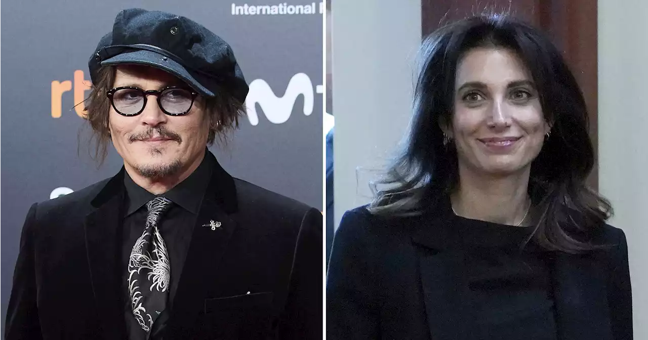 Johnny Depp Is Dating Married Lawyer Joelle Rich: 'It's Serious'