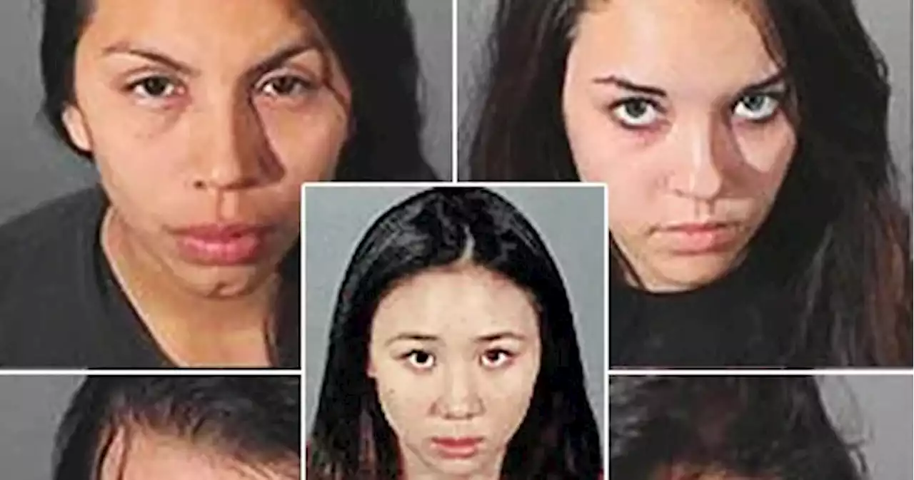 The Bling Ring: Where Are Alexis Neiers, Rachel Lee and the Rest Now?