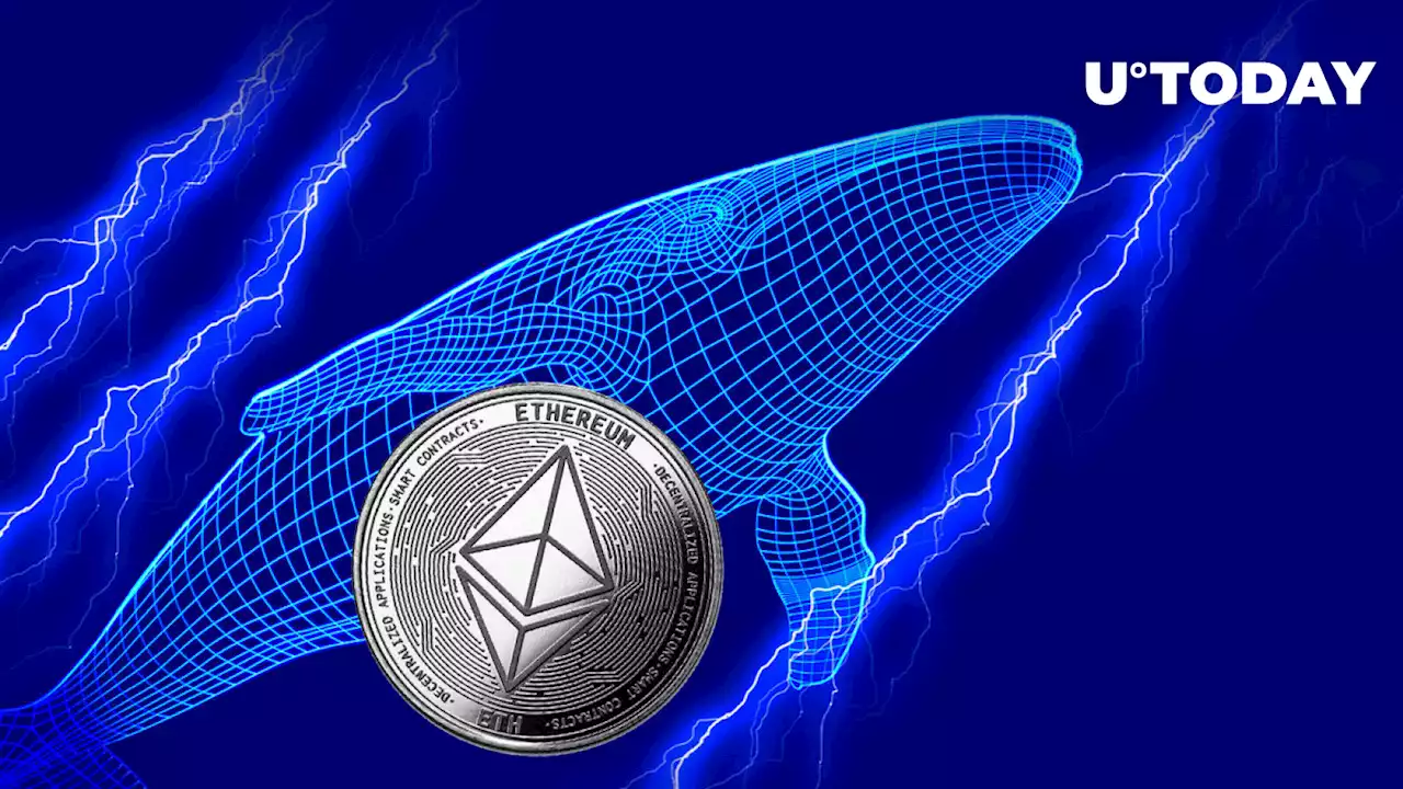 Ethereum Whales Rapidly Dropped Their Holdings After Merge, Here's Why