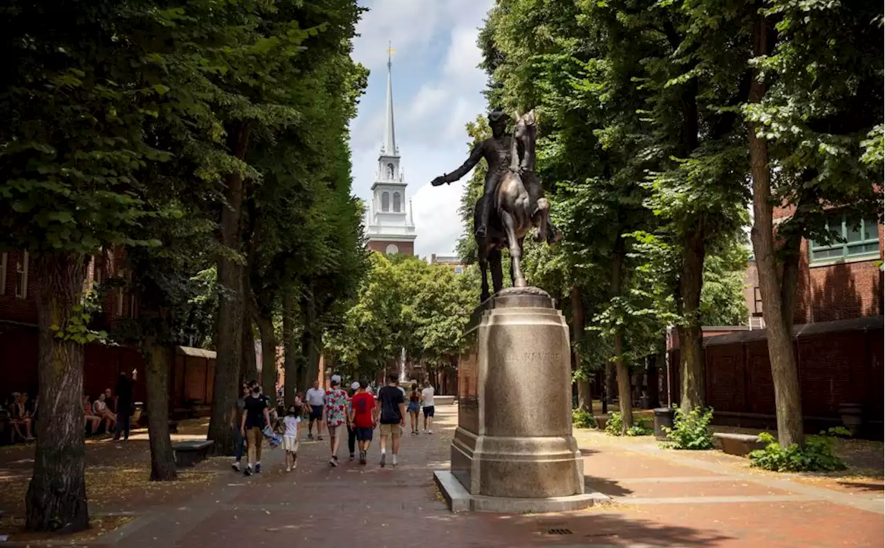 Boston's Mayor Wu announces investment in trees for cooling, flood reduction and beauty