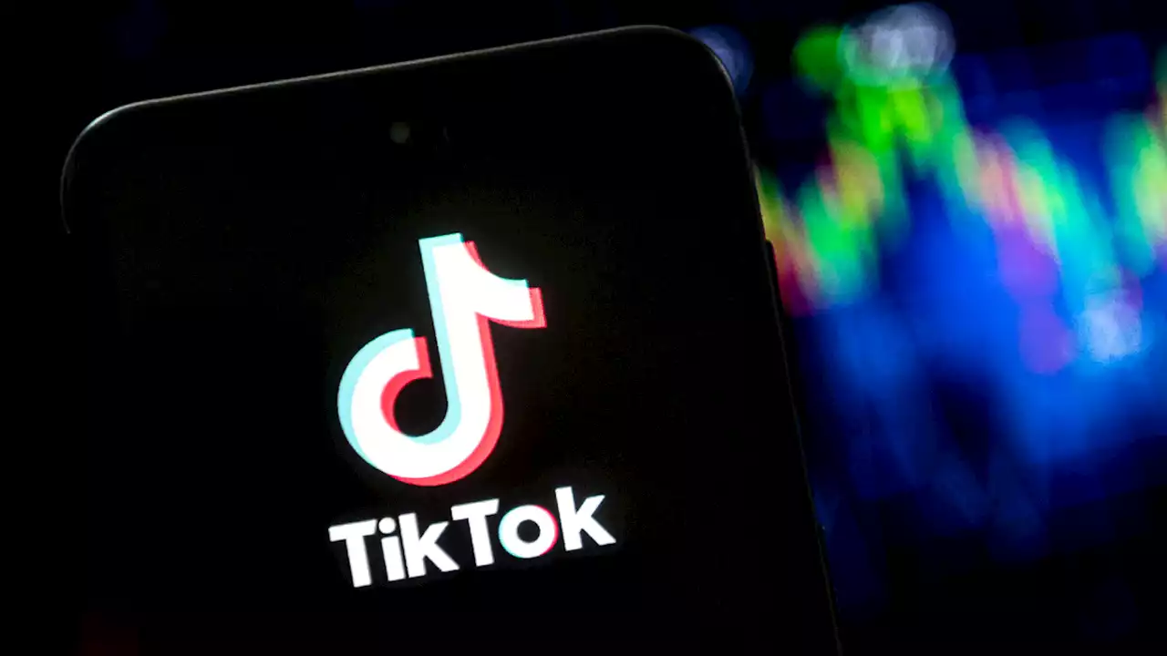 TikTok to ban campaign fundraising, require verification for political accounts