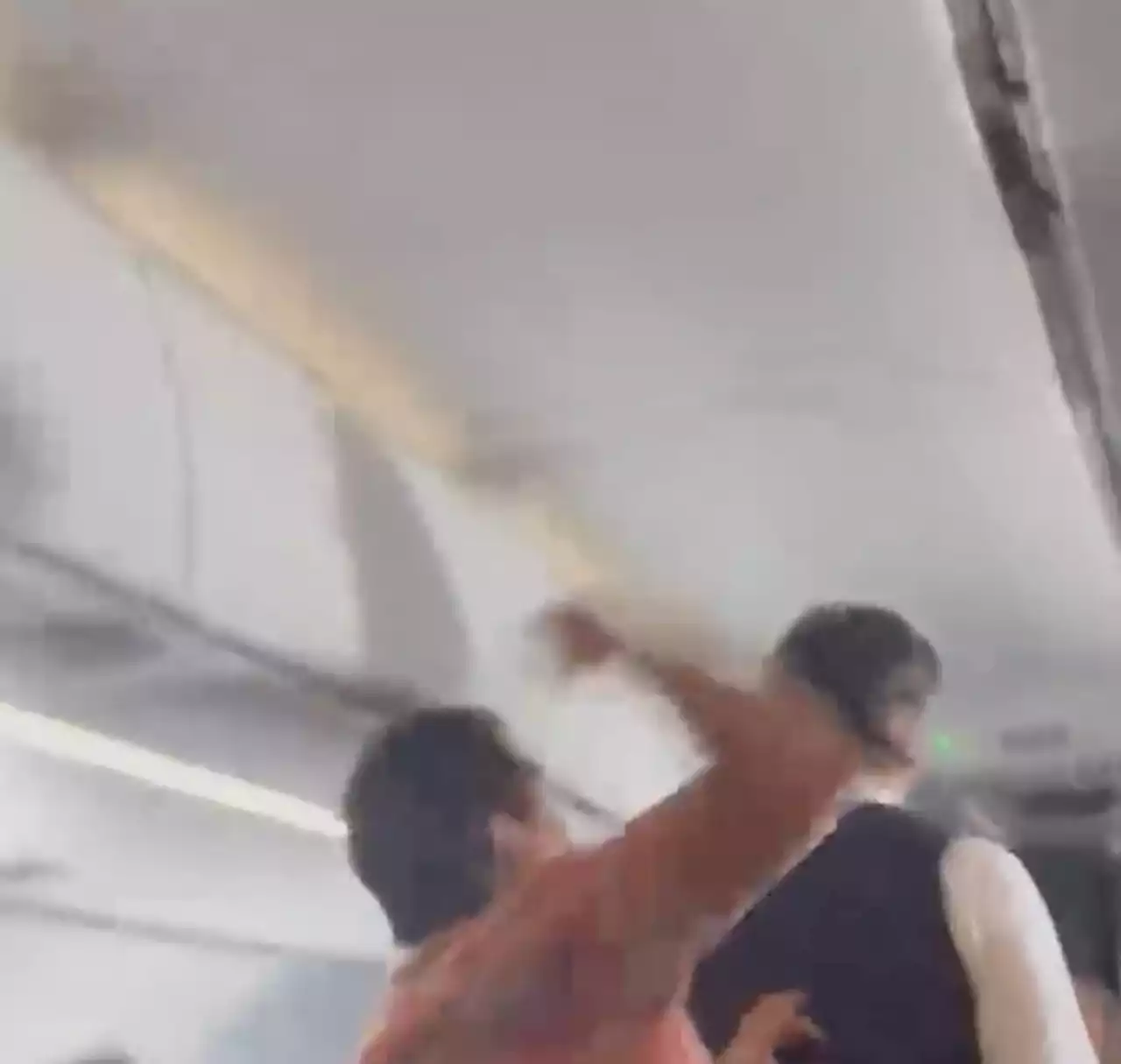 Video shows passenger punching flight attendant on Mexico-to-L.A. flight