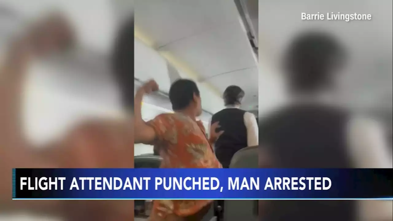 American Airlines passenger arrested after seen punching a flight attendant