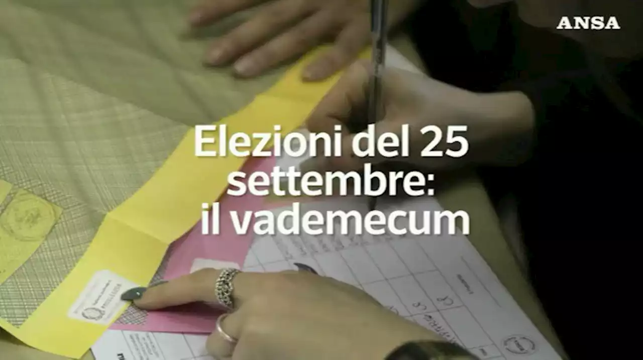 Schede gialla e rosa per votare, vademecum per le urne - Politica