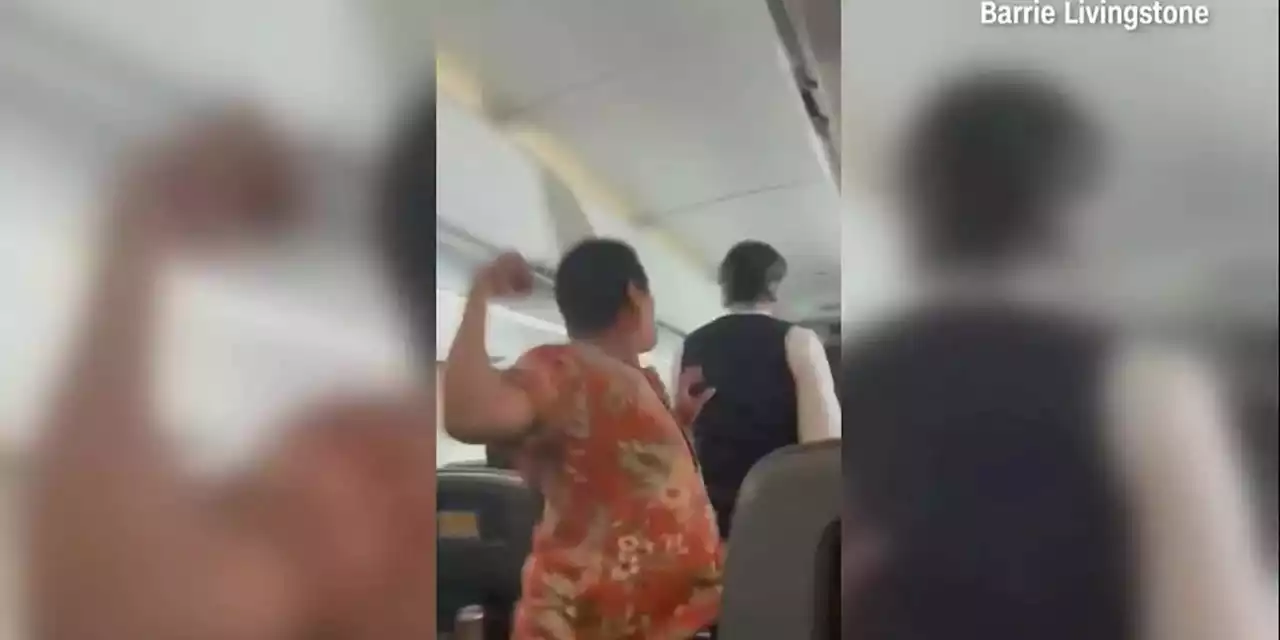 Caught on video: Passenger seen hitting flight attendant