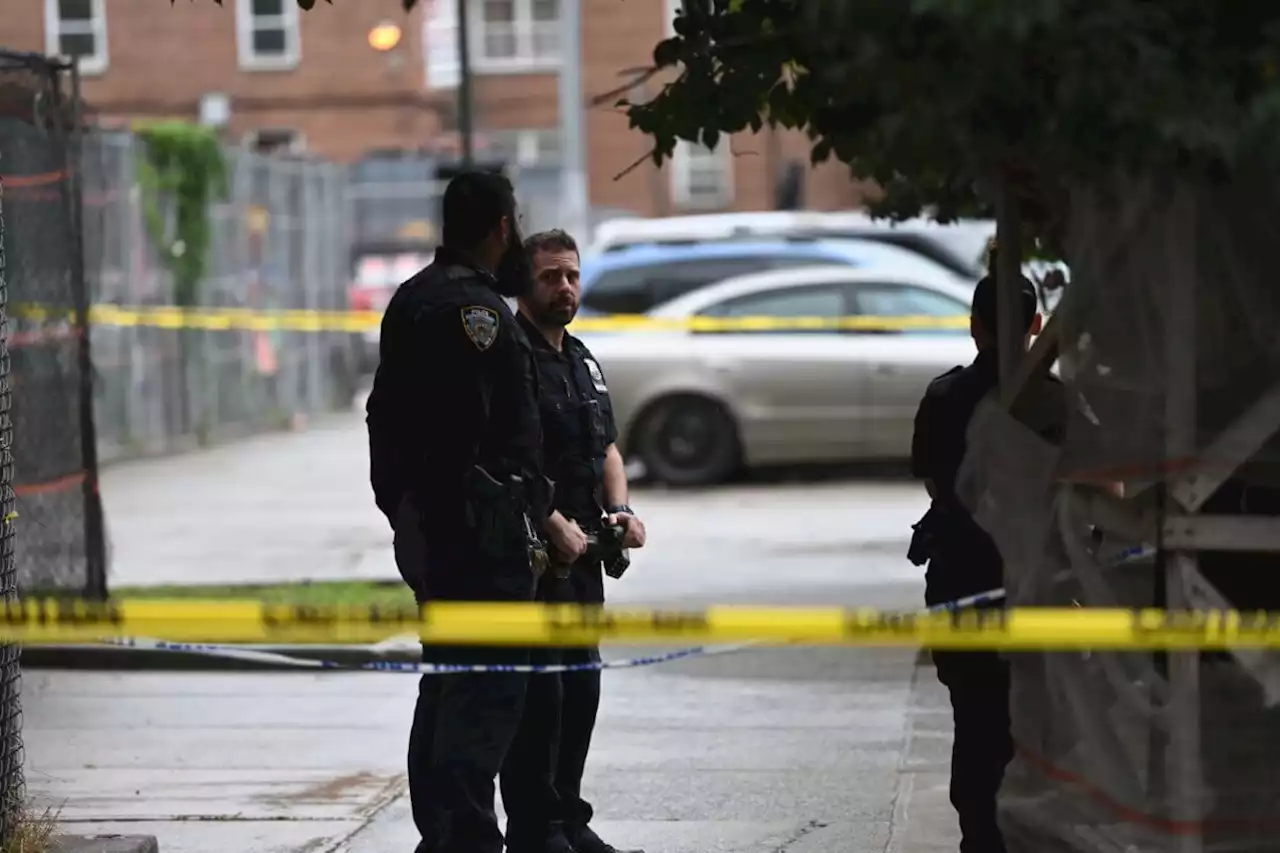 Two men shot, one critical, in shooting at Red Hook Houses in Brooklyn | amNewYork