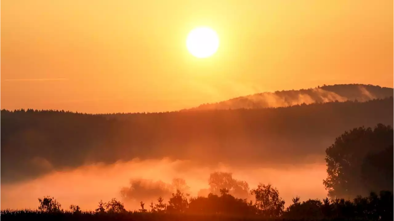 Wie viel wissen Sie über den Klimawandel?