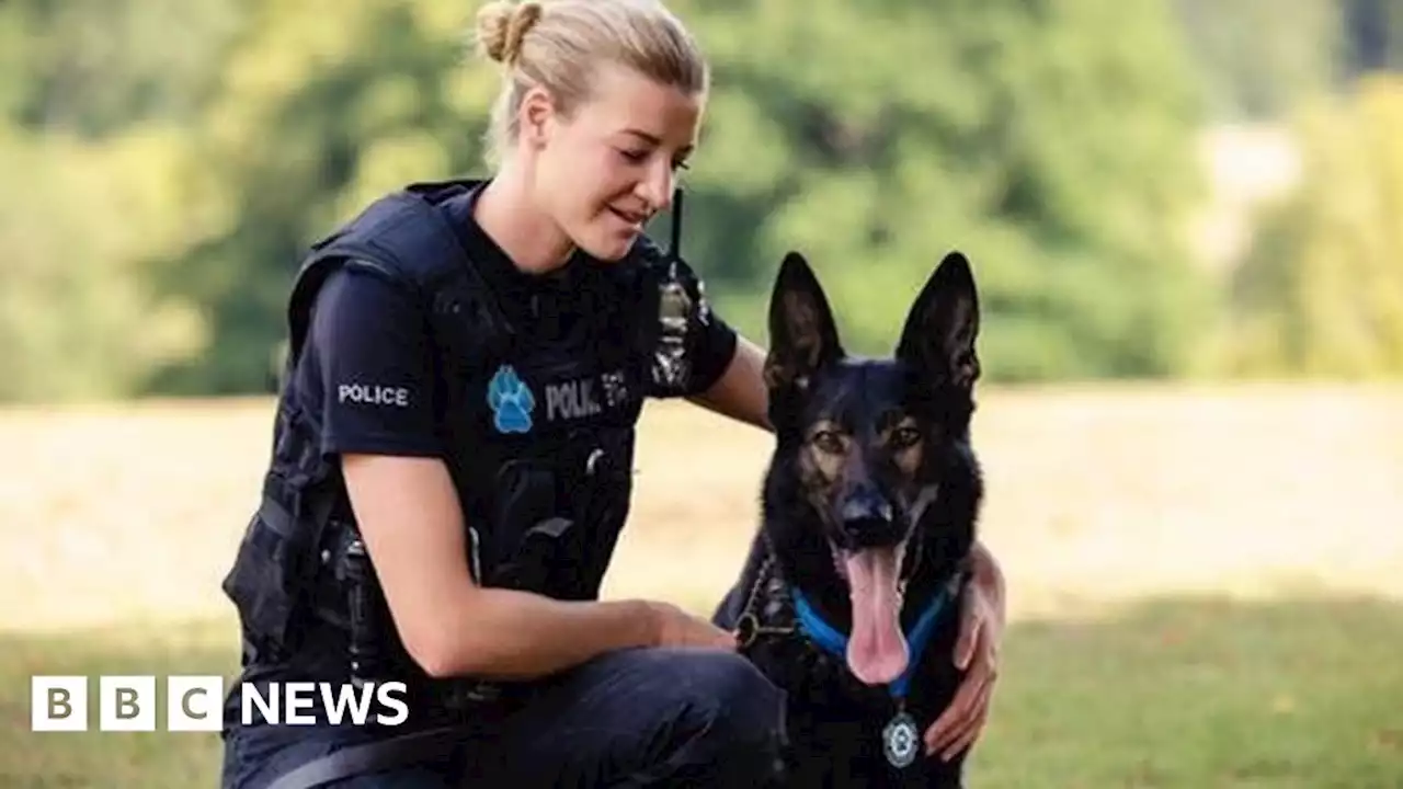 Leicestershire Police dog awarded for outstanding bravery