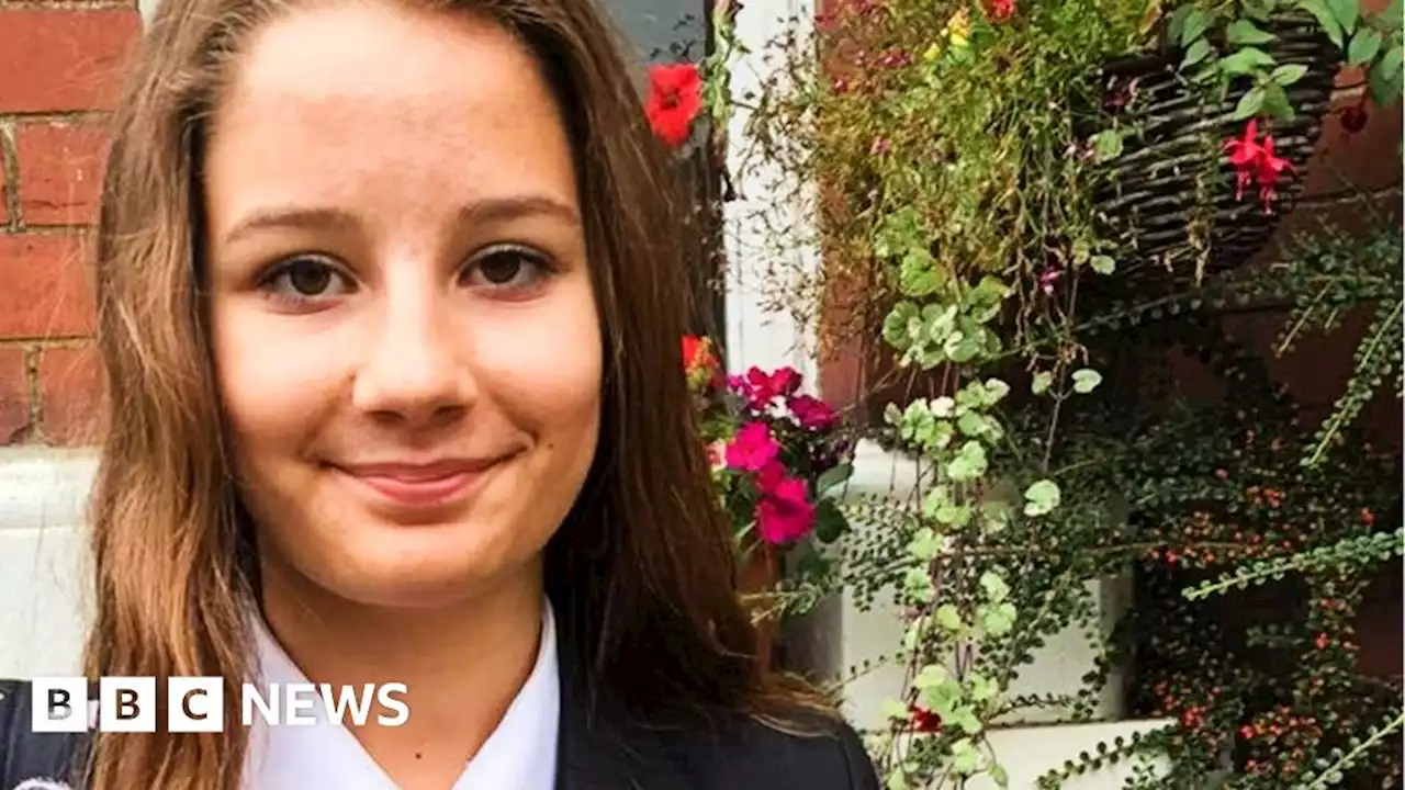 Molly Russell inquest: Instagram clips seen by teenager were 'most distressing'