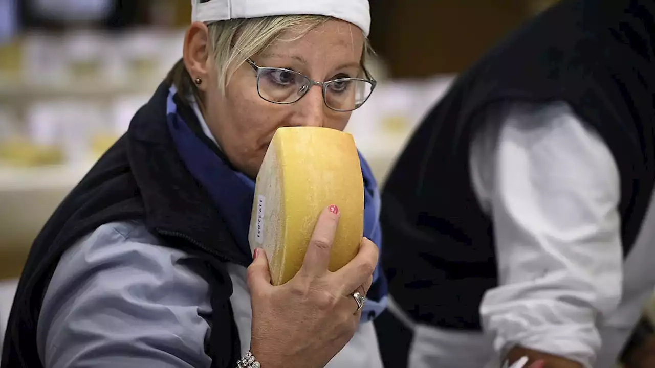 Le Gruyère AOP aus Montbovon FR ist der beste Käse der Schweiz