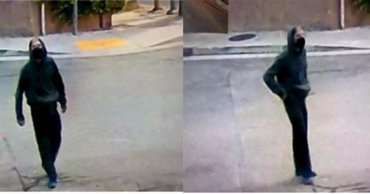 Police searching for suspect who sexually assaulted woman in Hollywood Hills