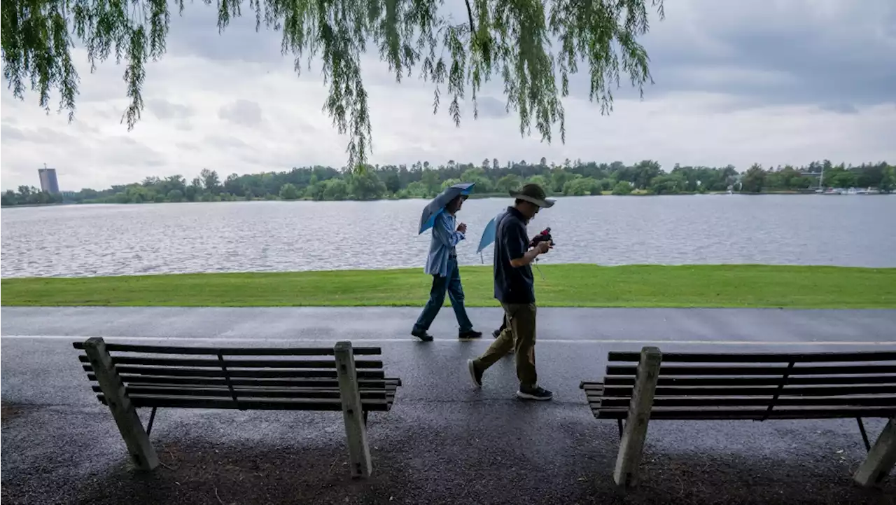 Why are lakes becoming less blue?