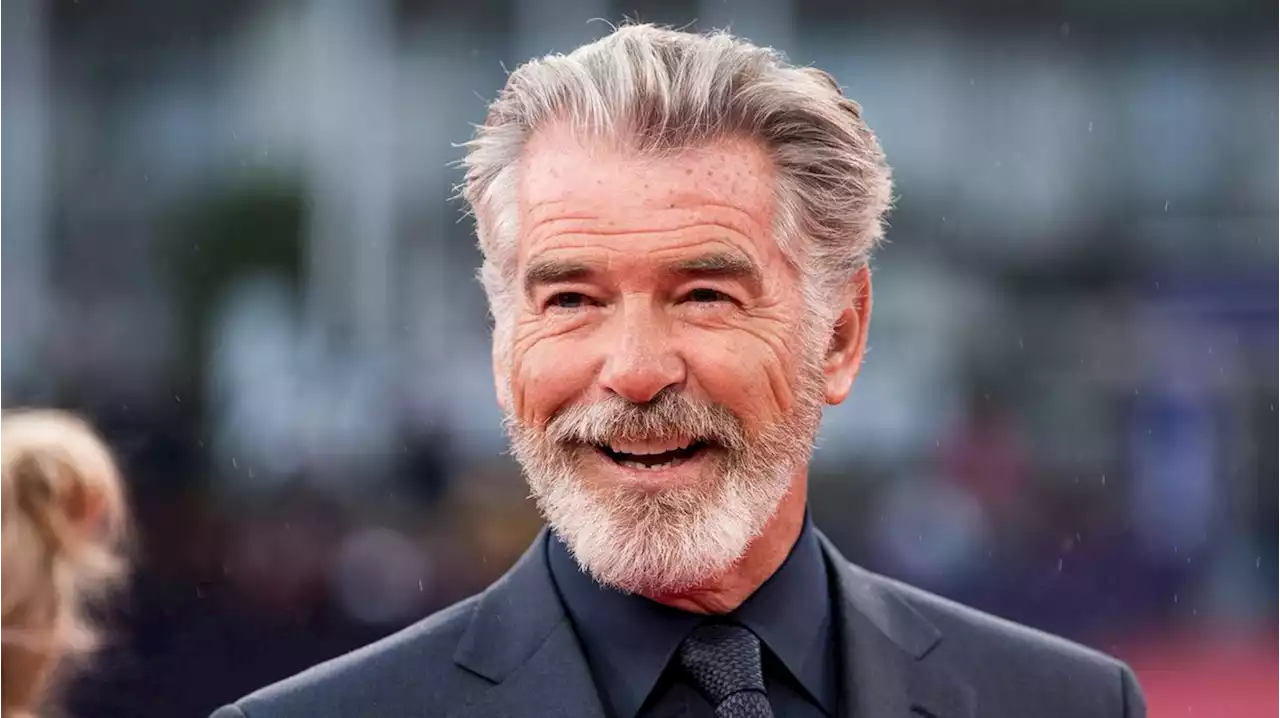 Pierce Brosnan: Stylisches Shooting mit seinen attraktiven Söhnen