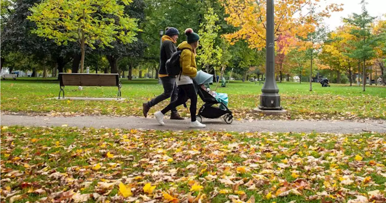 Canada says hello to fall and goodbye to summer. What to expect this year - National | Globalnews.ca